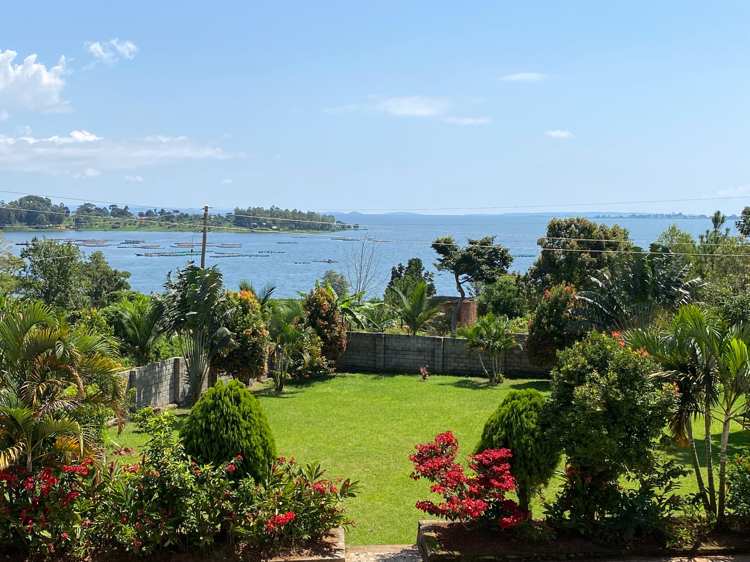 WhatsApp Image 2024-12-17 at 05.34.36_13dd1337